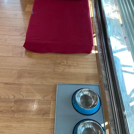 L -